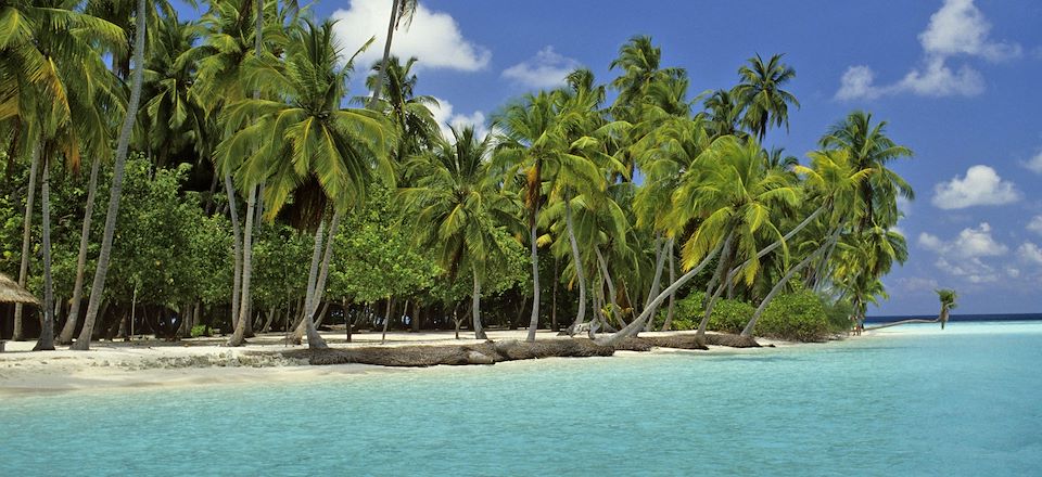 Croisière et snorkeling d'île en île aux Maldives à bord d'un bateau !