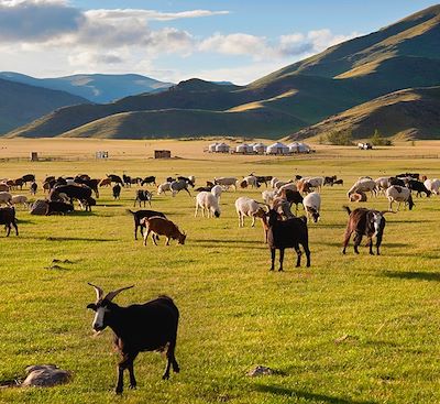Explorez l’essentiel de la Mongolie pour un voyage à l’esprit nature entre grands espaces et vie nomade.