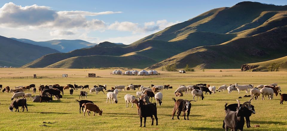 Explorez l’essentiel de la Mongolie pour un voyage à l’esprit nature entre grands espaces et vie nomade.