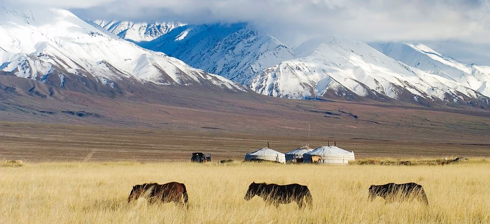 Embarquez pour un trek au cœur du fascinant parc national de Khar Us Nuur, dans la mythique région de l’Altaï