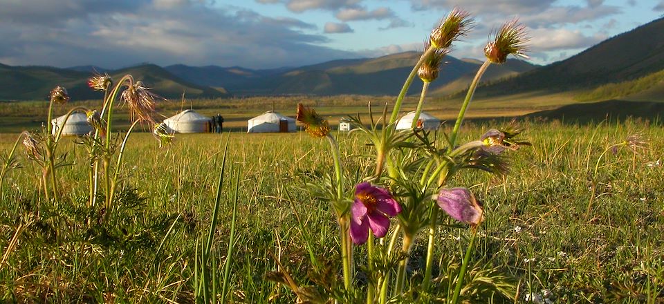 Partez pour une aventure immersive à la découverte des steppes & forêt sibérienne du Khan Khentii