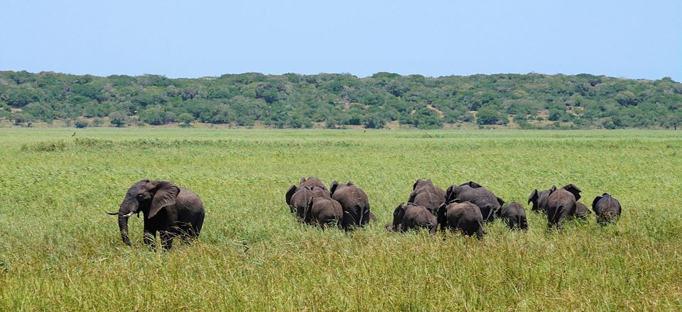 Le Mozambique entre plages de rêves, parc animalier, faune et nature sauvage!