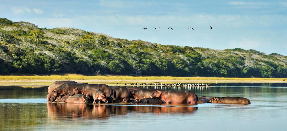 Le Mozambique entre plages de rêves, parc animalier, faune et nature sauvage!