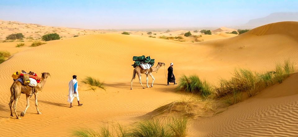 Du désert de Leklewa à Maaden, oasis chère à Pierre Rabhi et modèle agro-écologique 