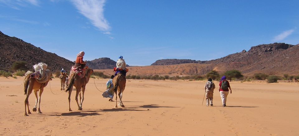 Randonnée chamelière en Mauritanie entre dunes somptueuses et oasis luxuriantes