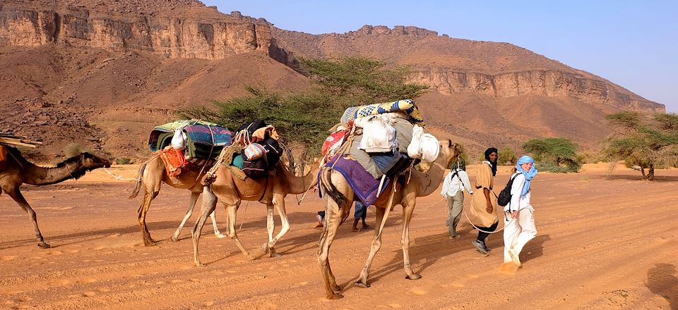 Randonnée chamelière en Mauritanie entre dunes somptueuses et oasis luxuriantes