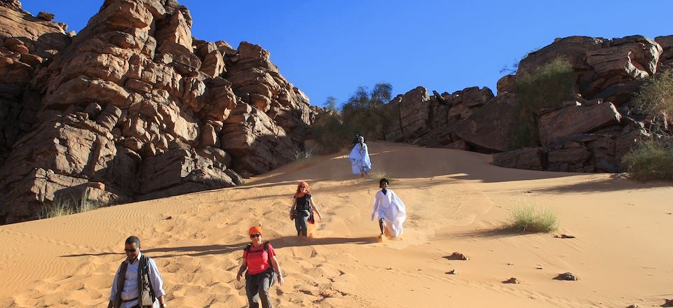 Grand panorama de l'Adrar et du Banc d'Arguin mauritanien à pied, en train et en 4x4