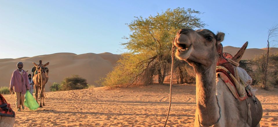 Randonnée chamelière de Chinguetti à Terjit à travers le magnifique erg Ouarane et les massifs rocheux