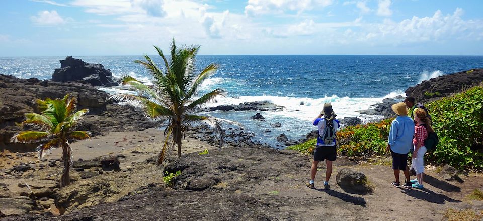 Randonnées, culture locale, plages paradisiaques et forêt tropicale : les incontournables de la fabuleuse Martinique en famille !