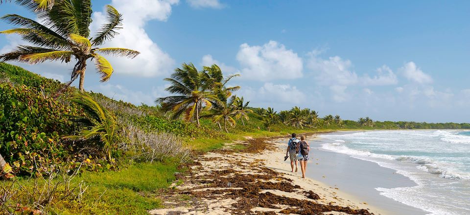 Circuit multiactivité à la découverte de la Martinique entre forêts tropicales, rivières, cascades et plages de rêve…