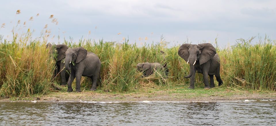 Voyage safari de la South Luangwa au parc de Liwonde avec farniente au lac Malawi et immersion dans les villages de pêcheurs…