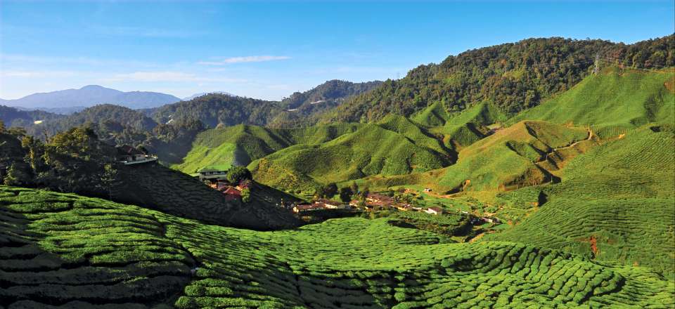 11 jours pour découvrir Kuala Lumpur, Cameron Highlands et la vie d’une famille Orang Asli avec un guide puis balades en autonomie