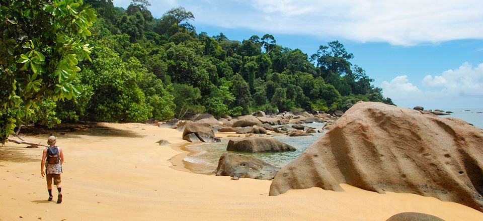 Découverte 100% nature du Sarawak sur l'île de Bornéo, avec 3 de ses plus beaux parcs nationaux: Bako, Batang Ai et Tanjung Datu