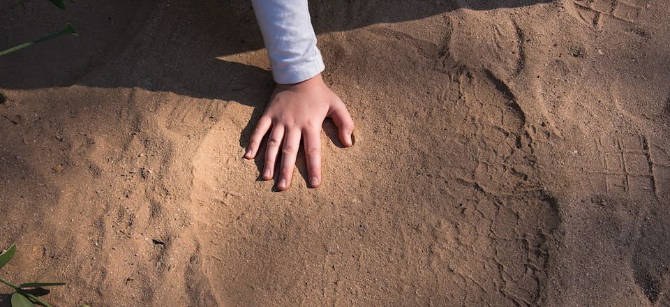 Voyage naturaliste en Namibie, une aventure à la rencontre de la faune, des écosystèmes et des acteurs œuvrant à leur conservation