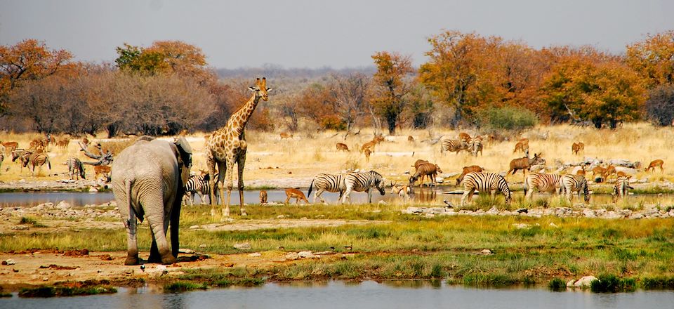 voyage decouverte afrique australe : Austral gagnant ! - Nomade