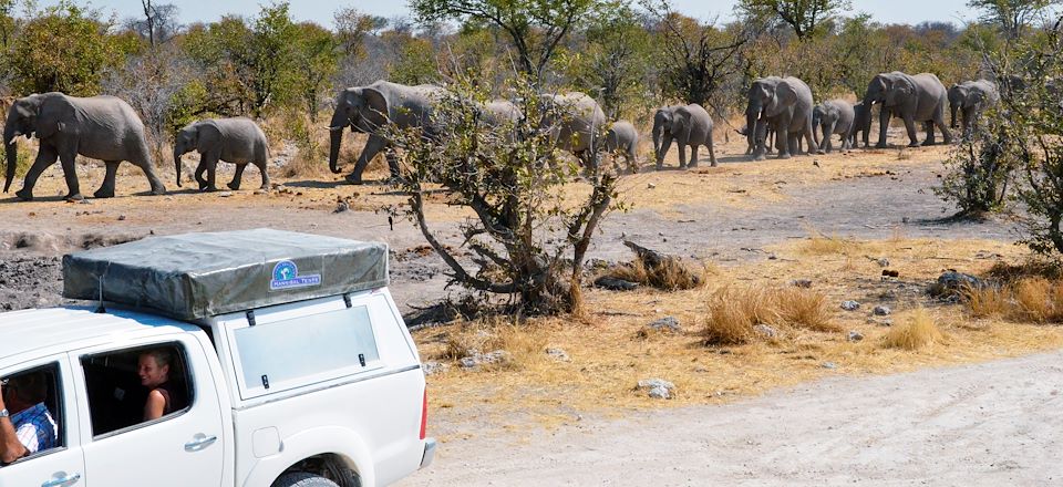 Circuit en Namibie de 15 jours, du parc d’Etosha au Namib via le Damaraland, alternant nuits en lodge et tente sur le toit du 4x4