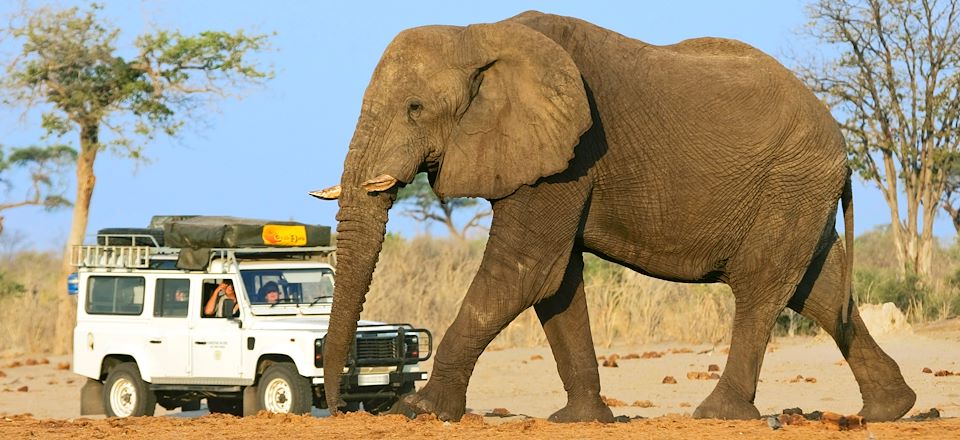 Trois pays pour découvrir toutes les merveilles de l’Afrique Australe : Désert du Namib, Delta de l’Okavango, Chutes Victoria, etc