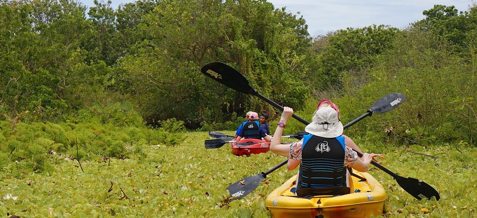 Voyage au Nicaragua à vivre en famille ou entre amis : rando, kayak & farniente de Granada aux Corn Islands via Ometepe & Leon!