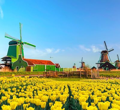 Voyage à vélo et en péniche aux Pays-Bas sur la Route des Tulipes accompagné d'un guide anglophone