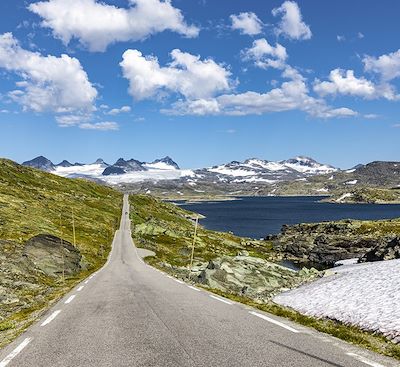 Road trip en Norvège pour sillonner ses côtes en van, entre fjords et villages colorés via la mythique falaise de Preikestolen