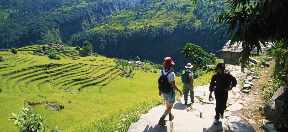 Circuit au pied des Annapurnas et vallée de Katmandou avec les sites incontournables de Patan et Bhaktapur