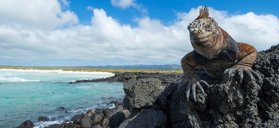 Balades à la découverte des cultures andines millénaires, d’Arequipa au Machu Picchu, via le lac Titicaca…Extension aux Galápagos!