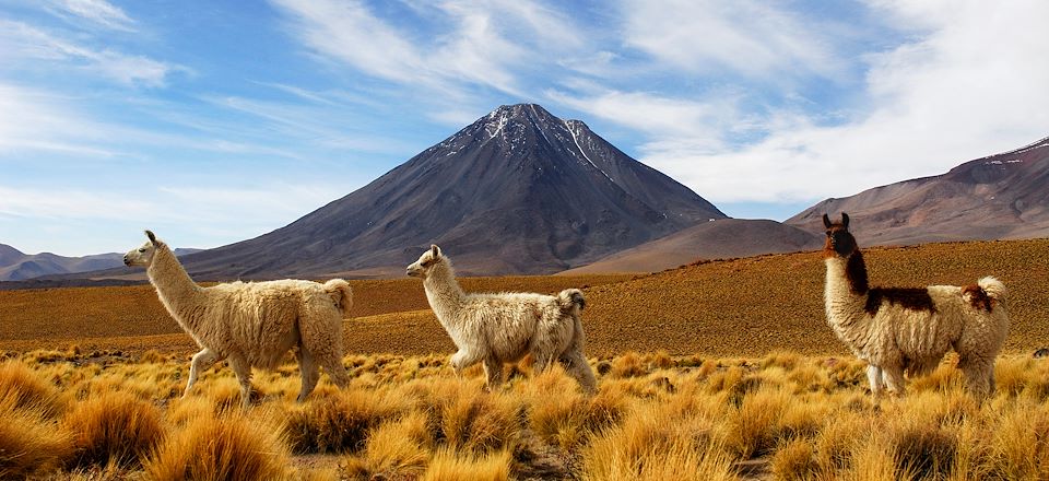 Grand panorama des Andes : du désert d'Atacama à la Vallée Sacrée des Incas, via les Machu Picchu, lac Titicaca et salar d'Uyuni