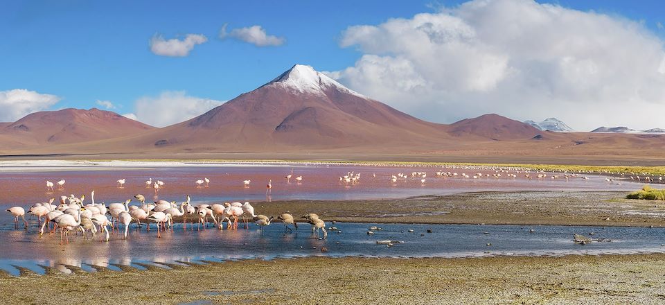 Voyage au Pérou et Bolivie de 2 semaines, de Cusco au Sud Lipez via Titicaca entre rencontres, sites Incas et paysages grandioses