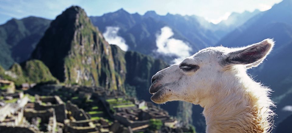 Balades dans la forêt amazonienne, sur les traces des Incas et sur les îles du lac Titicaca, une aventure pour toute la famille !