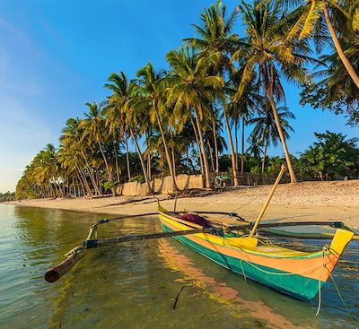Voyage dans les Visayas aux Philippines : Negros, Siquijor, Bohol, entre plages de sable blanc, eau turquoise et iles tranquilles