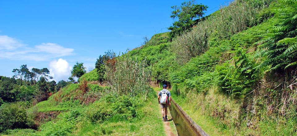 Tour de l'île et randonnées faciles pour découvrir tranquillement les différentes facettes de Madère, le jardin de l’Atlantique