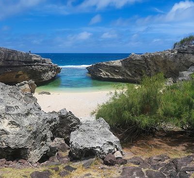 Balades de l’île de la Réunion à Rodrigues : Découverte des saveurs créoles, trek facile entre Rando côtière et forêt tropicale...