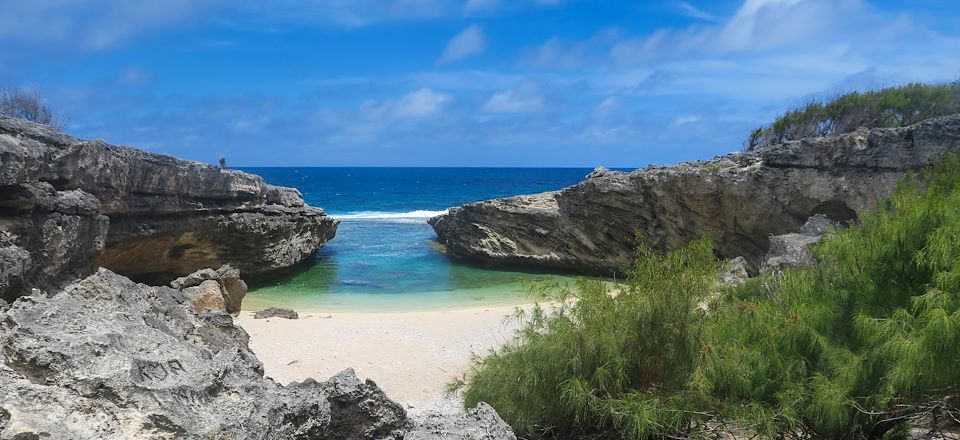 Balades de l’île de la Réunion à Rodrigues : Découverte des saveurs créoles, trek facile entre Rando côtière et forêt tropicale...