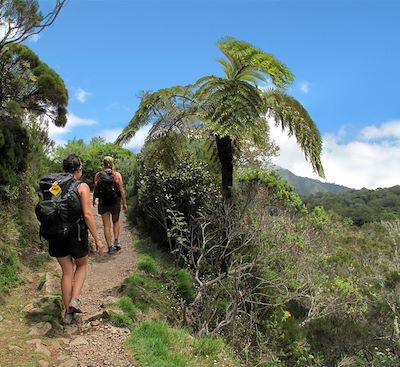 Les plus belles randonnées de la Réunion et de l'île Maurice entre cirques, volcans, forêts tropicales, lagons et océan...