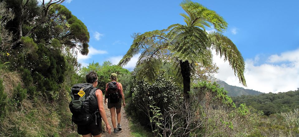 Rando entre cirques, volcan de la Réunion et forêt tropicale et montagne de l'île Maurice...