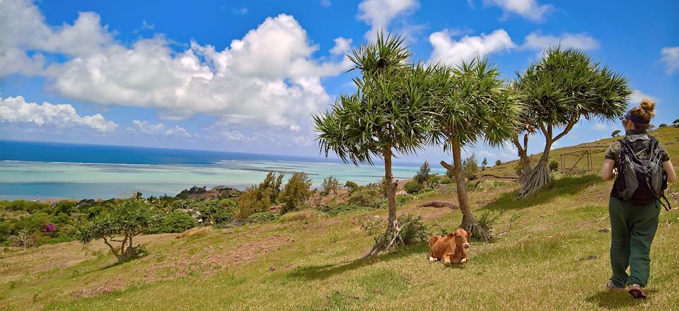 Excursions en bateau sur les îles, randonnées variées et faciles entre montagnes, petites criques sauvages et forêts primaires !