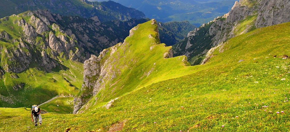 Une immersion entre Brasov, les massifs emblématiques des Carpates et la capitale