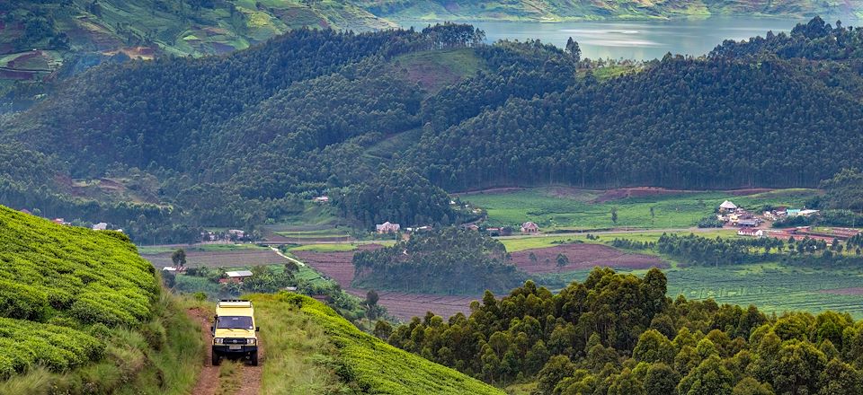 Road trip Ouganda et Rwanda, en 4x4 pour observer chimpanzés, trek gorilles et randonner sur les volcans, de Kigali à Bwindi