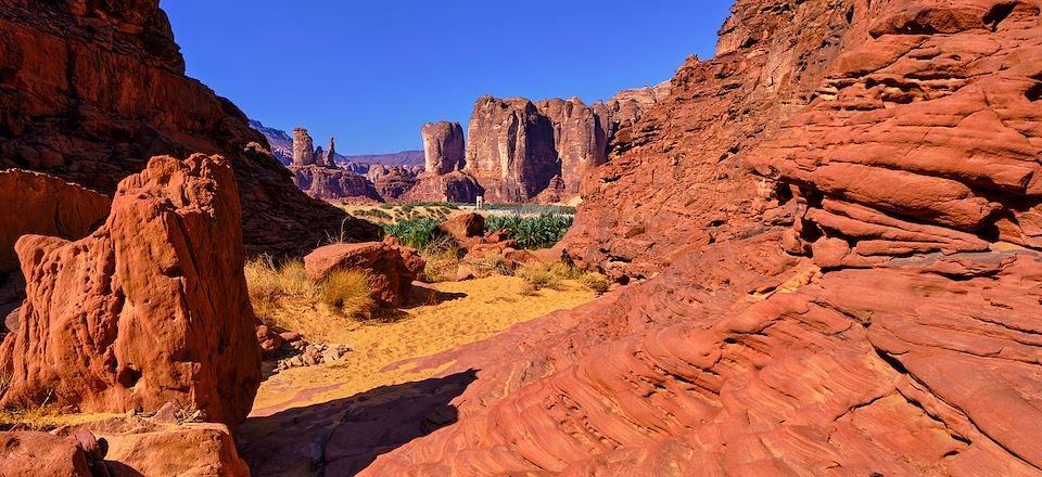 Petite randonnée en Arabie saoudite avec visites des sites d'Hégra, AlUla, Djeddah et le grand canyon d'Al Disah