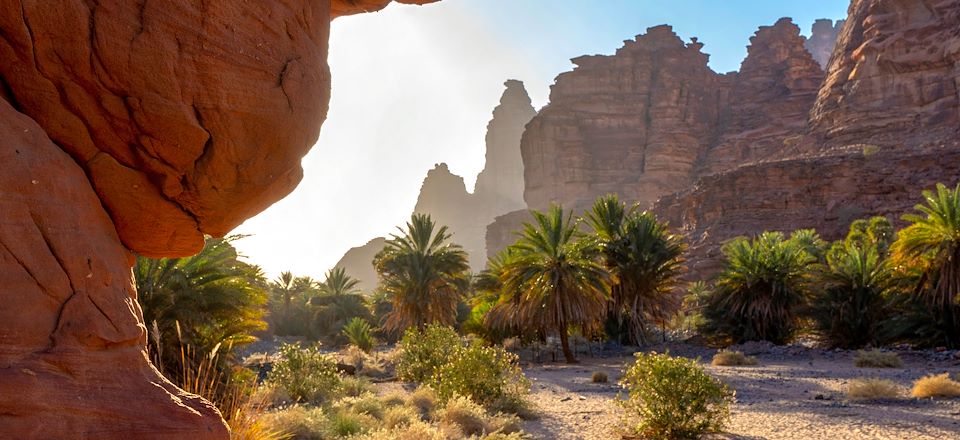 Circuit avec chauffeur francophone privatif à la découverte de la Jordanie et de l’Arabie Saoudite : De Petra à AlUla