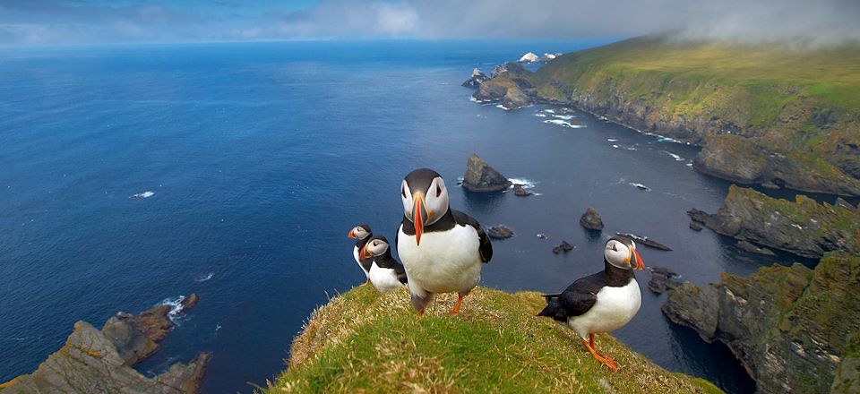 Voyage dans les îles Shetland en autotour, à la découverte d'une nature sauvage et d'une culture viking, le tout en cottage !