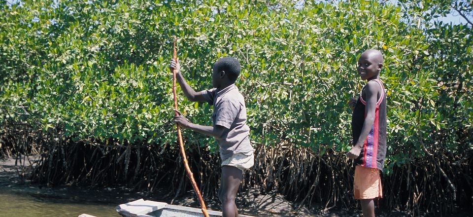 Circuit découverte du Sénégal en famille : à pied, en pirogue à travers les bolongs du Siné Saloum et de ses villages !
