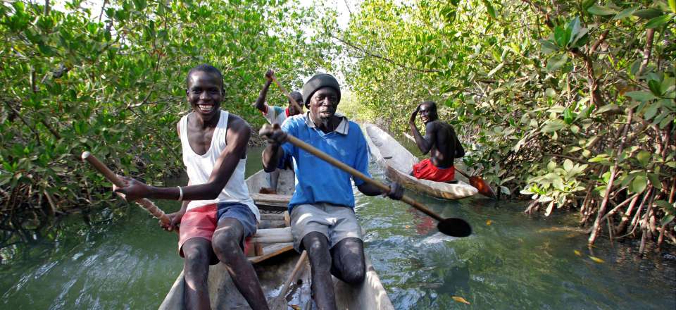Découverte du Siné Saloum : Entre Mangroves, îles, villages puis visite de Gorée et ses maisons couleur pastel...