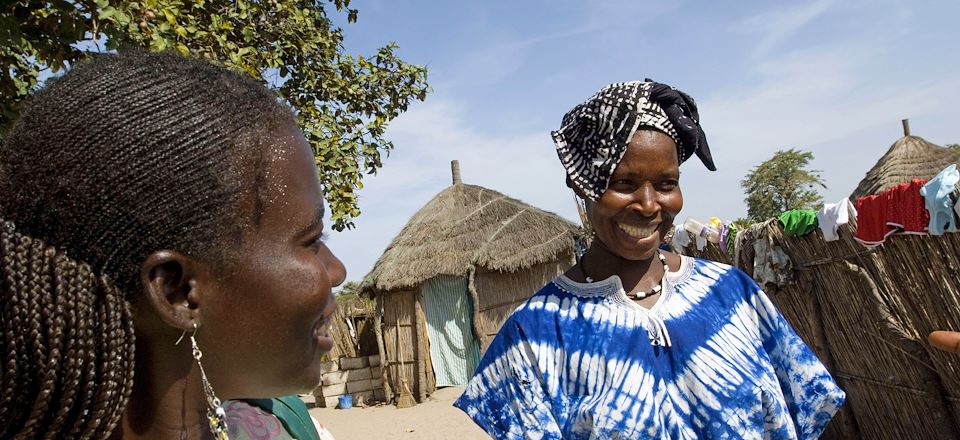 Les sites incontournables du Sénégal : de Saint-Louis à la réserve de Bandia avec découverte du Sine-Saloum et de l'île de Gorée