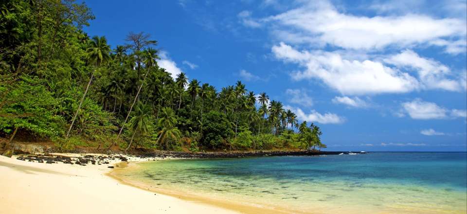 Découverte complète de l'île cacao : forêt équatoriale, plantations, lagons, mangrove et îles !