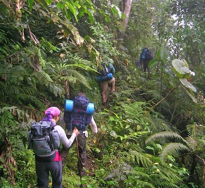 Trek en forêt équatoriale, plantations de café, cacao, visites et plages sauvages !