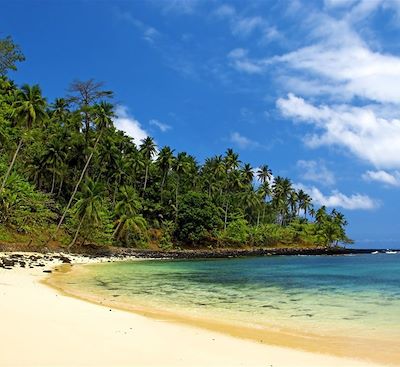 Découverte complète de l'île cacao : forêt équatoriale, plantations, lagons, mangrove et îles !
