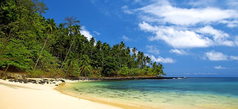 Découverte complète de l'île cacao : forêt équatoriale, plantations, lagons, mangrove et îles !