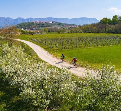 La Slovénie à vélo, une aventure à la découverte du cœur vert de l'Europe, de Ljubljana à la mer Adriatique et Venise.