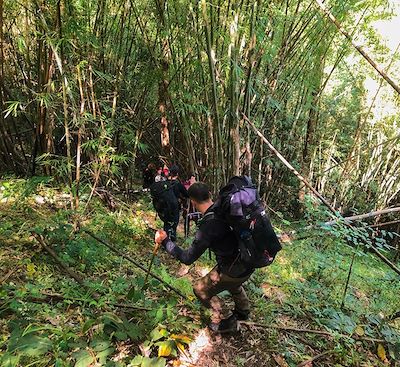 Partez dans la jungle Lahu dans le triangle d'or et apprenez les fondamentaux de la survie en forêt avec notre guide explorateur